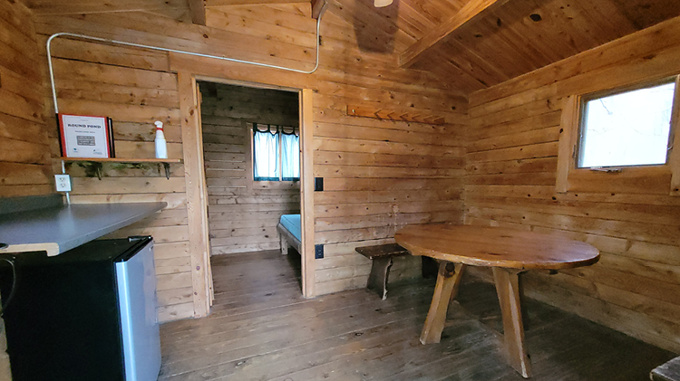Mini Cabin Living Space