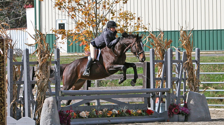 Morgan Farm Riding Lessons Morgan Farm Riding Lessons