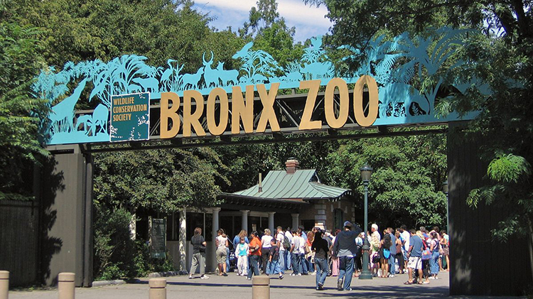 Bronx Zoo, NYC